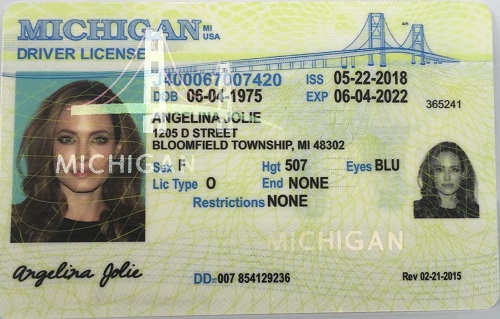 Michigan Fake ID